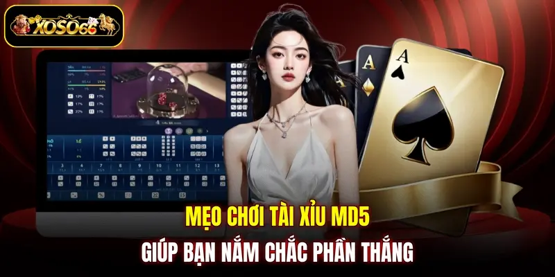 meo choi tai xiu md5 giup ban nam chac phan thang Mẹo chơi Tài Xỉu MD5 giúp bạn nắm chắc phần thắng